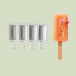 Fillister Silicone Popscile Mould